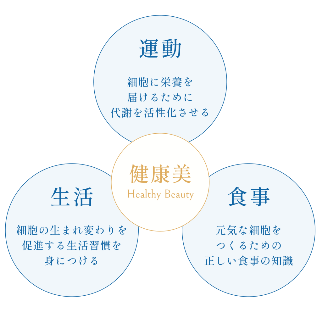 健康美についての図解